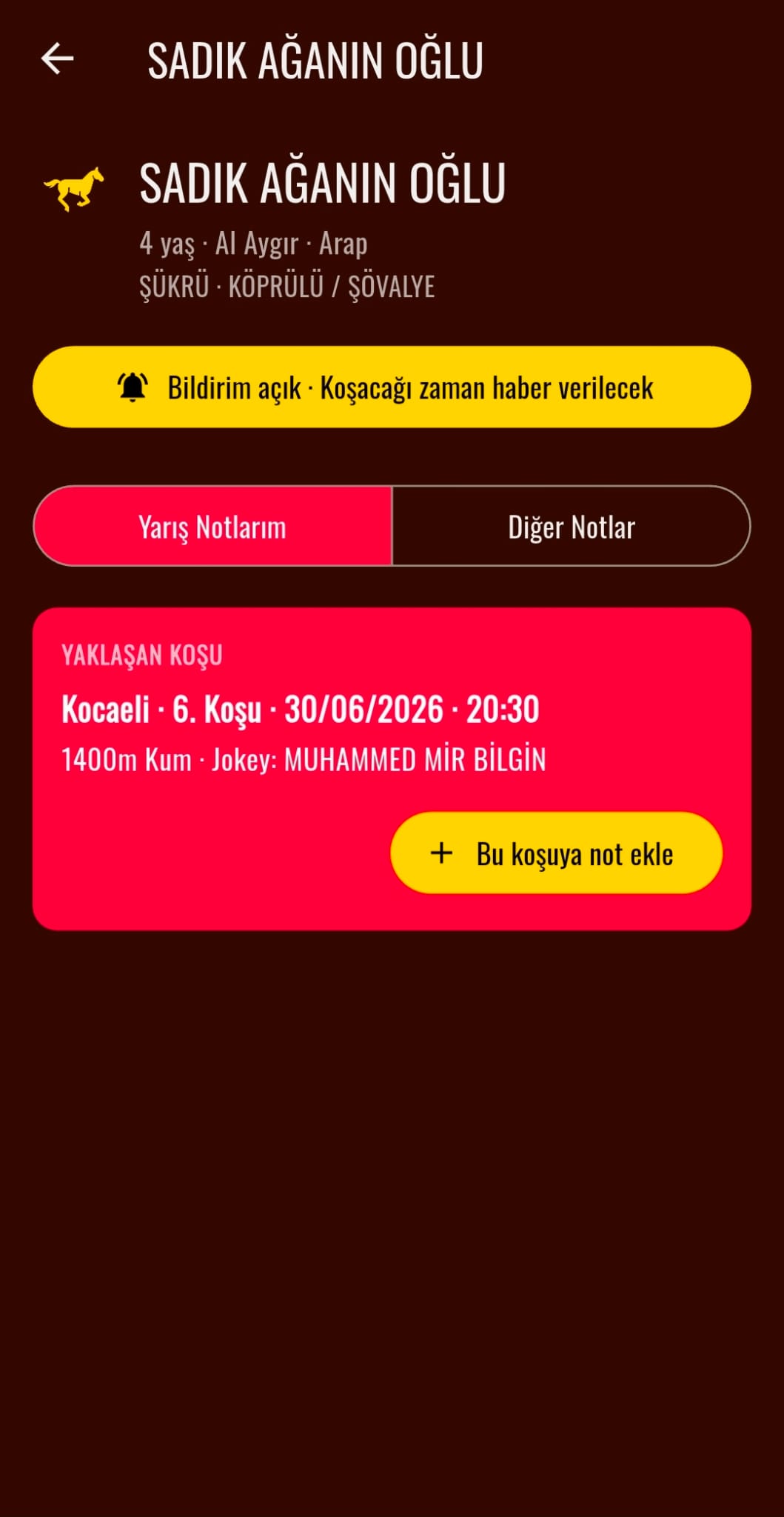 At sayfası: bildirim durumu ve yaklaşan koşu